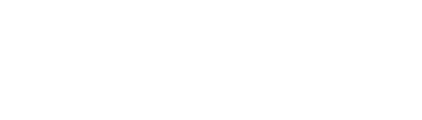 موکب حضرت نرجس خاتون سلاماللهعلیها